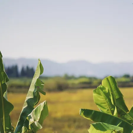 Mirsini Studios&apartments 3* Laganas