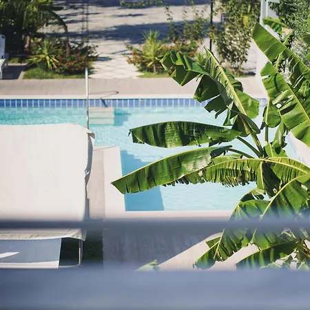 Apartahotel Mirsini & Laganas