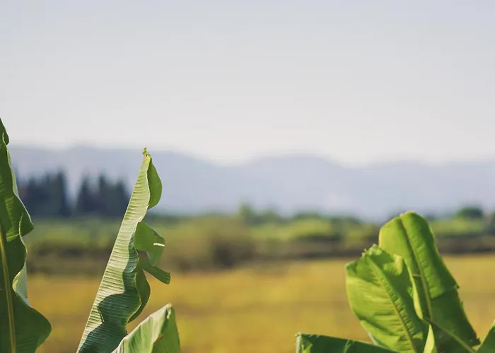 Mirsini & 3* 拉加纳斯